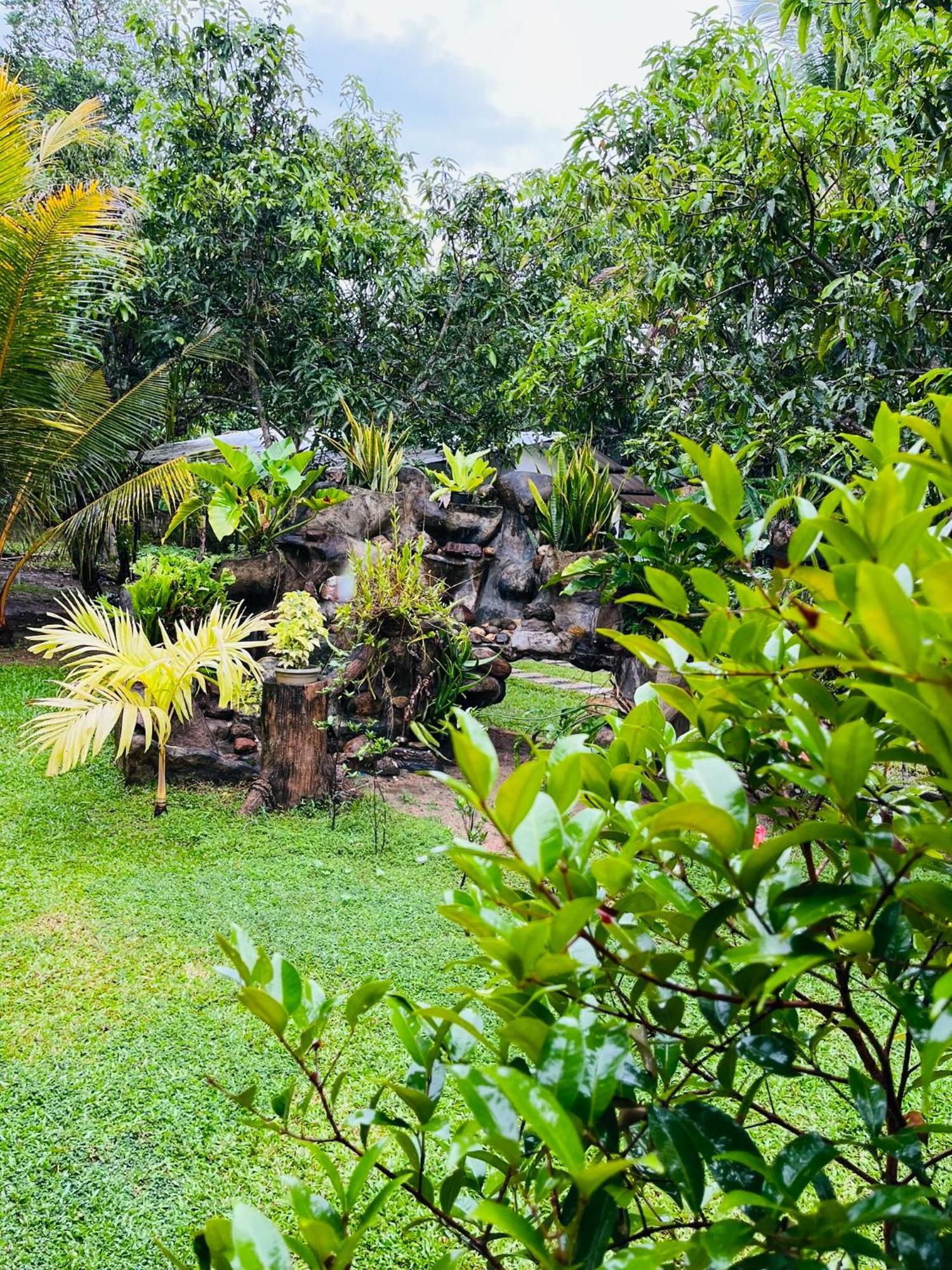 Villa Green Space 马特勒 外观 照片