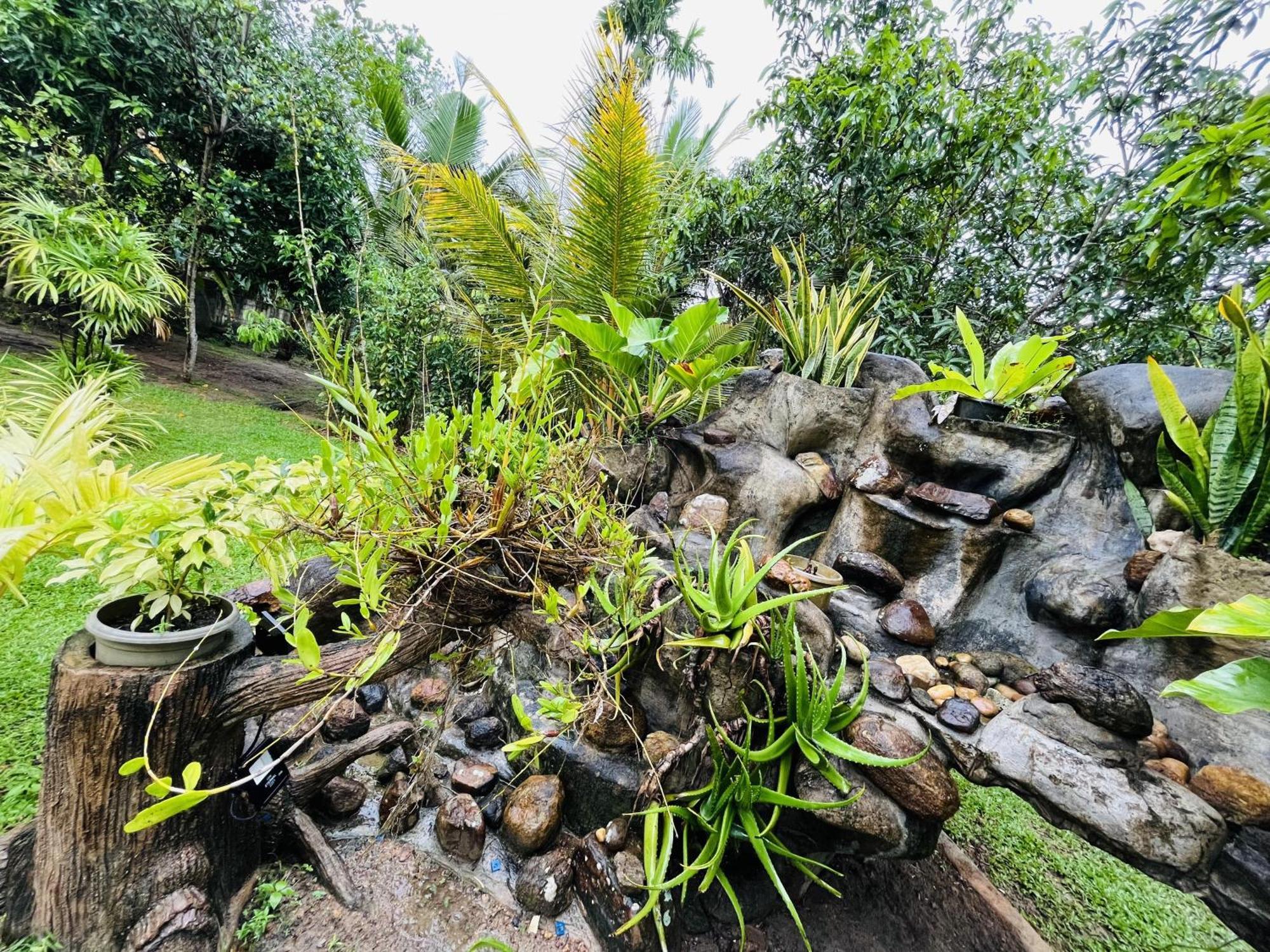 Villa Green Space 马特勒 外观 照片